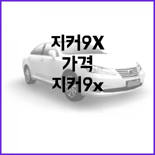 지커 9x의 가격, 어떻게 형성될까? - 요약