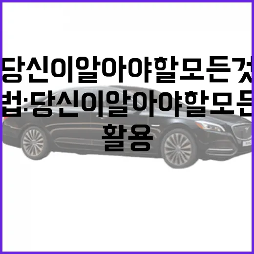 셀토스를 100% 활용하는 방법: 당신이 알아야 할 모든 것 - 요약