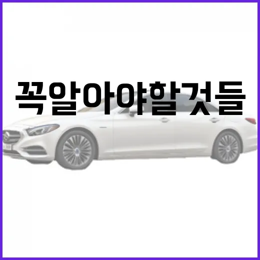 PV5에 대해 꼭 알아야 할 것들 - 요약