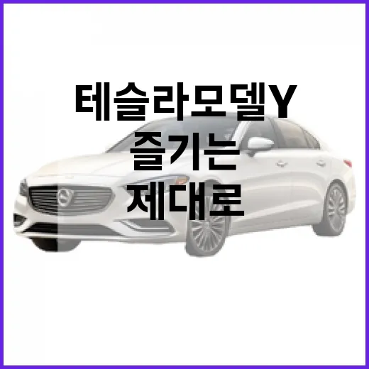 테슬라 모델Y를 제대로 즐기는 방법 - 요약
