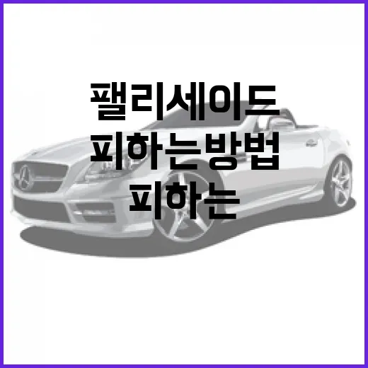 팰리세이드 사고를 피하는 방법 - 요약