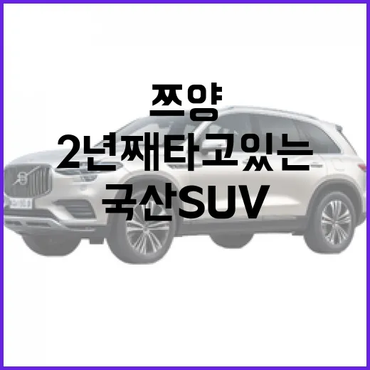 쯔양처럼 국산 SUV를 2년째 타고 있는 이유 - 요약