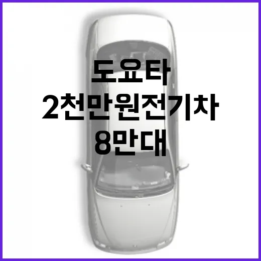 도요타의 2천만원 전기차, 어떻게 8만대를 판매했을까? - 요약