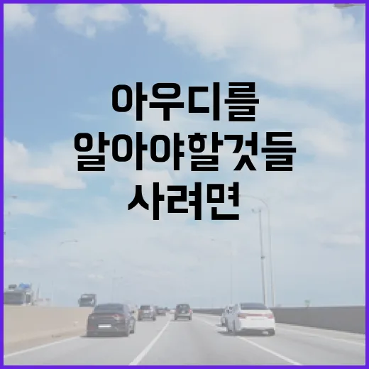 아우디를 처음 사려면 알아야 할 것들 - 요약