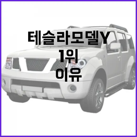 테슬라 모델Y, 국민차 1위로 떠오른 이유 - 요약