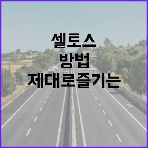 셀토스를 제대로 즐기는 방법 - 요약
