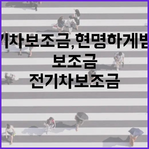 전기차 보조금, 현명하게 받는 방법 - 요약