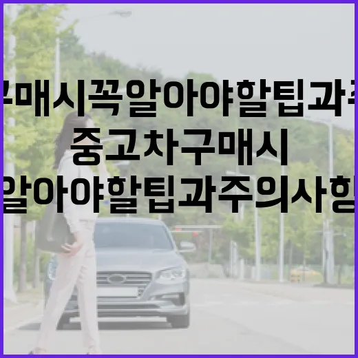 중고차 구매 시 꼭 알아야 할 팁과 주의사항 - 요약