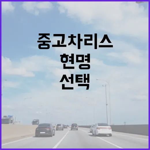 중고차 리스, 현명하게 선택하는 방법 - 요약