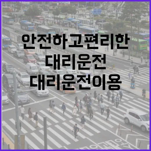 안전하고 편리한 대리운전 이용 방법 - 요약