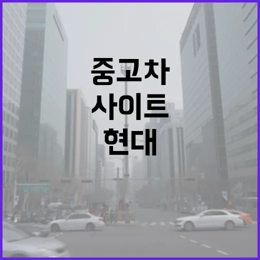 현대중고차사이트 활용법: 알뜰 쇼핑의 시작 - 요약