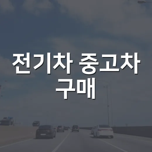 전기차 중고차 구매, 이렇게 하면 성공해요! - 요약