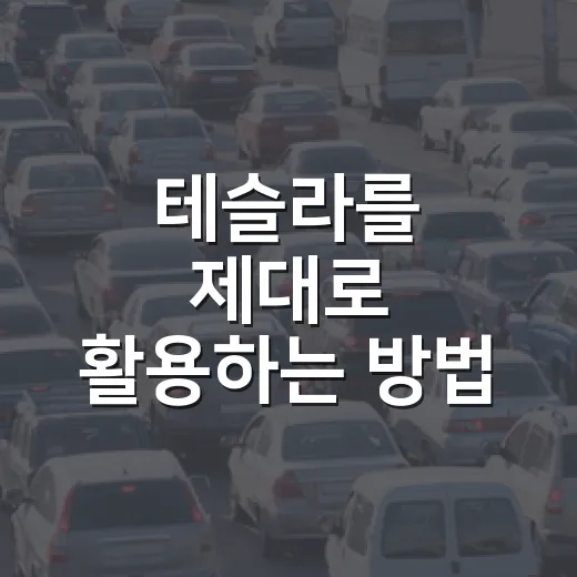 테슬라를 제대로 활용하는 방법: 초보자를 위한 가이드 - 요약