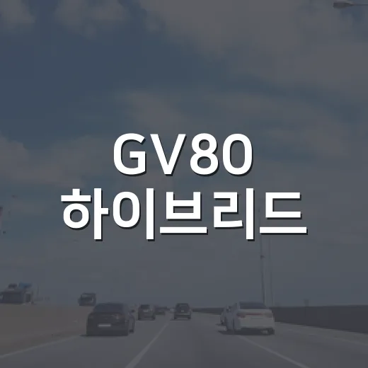 GV80 하이브리드: 알아두면 좋은 팁과 정보 - 요약