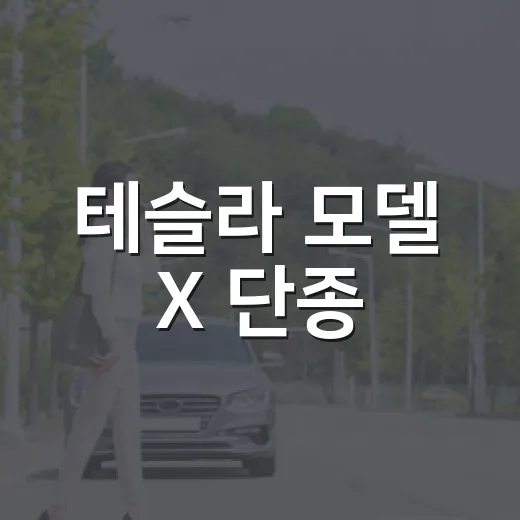 테슬라 모델 X 단종, 중고차 시장에서 역주행하는 방법 - 요약