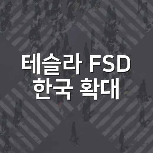 테슬라 FSD 한국 확대: 안전성 논란과 현실 - 요약