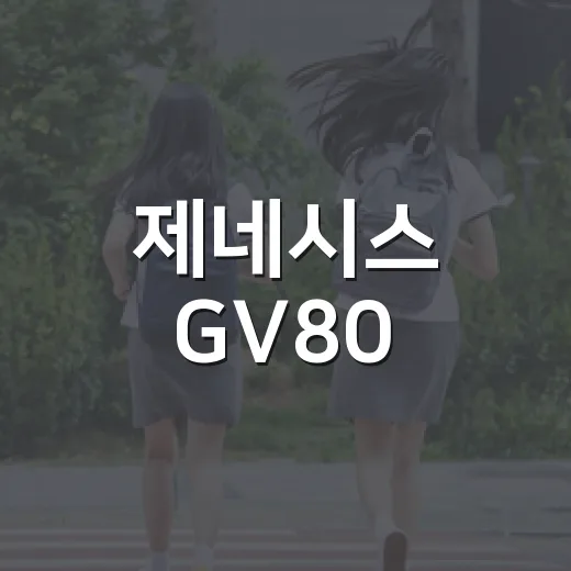제네시스 GV80, 알아두면 쓸모 있는 정보들 - 요약