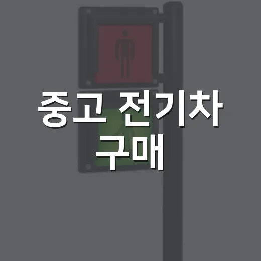 중고 전기차 구매, 이렇게 하면 실패 없다! - 요약