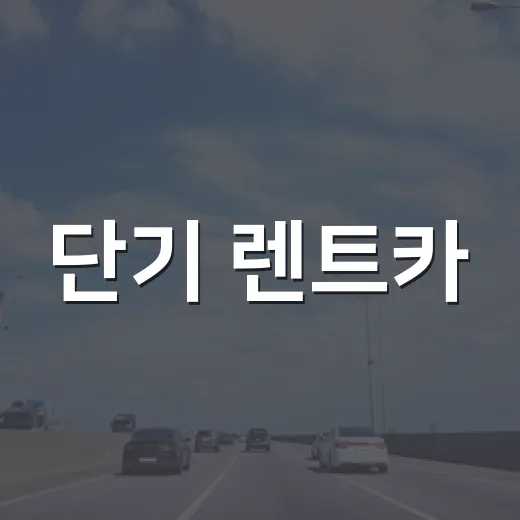 단기 렌트카, 가격 비교로 알뜰하게 이용하는 방법 - 요약
