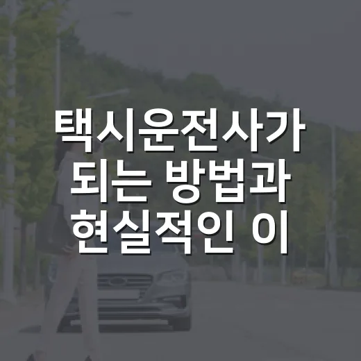 택시운전사가 되는 방법과 현실적인 이야기 - 요약