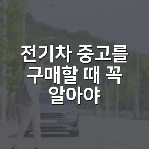 전기차 중고를 구매할 때 꼭 알아야 할 팁 - 요약