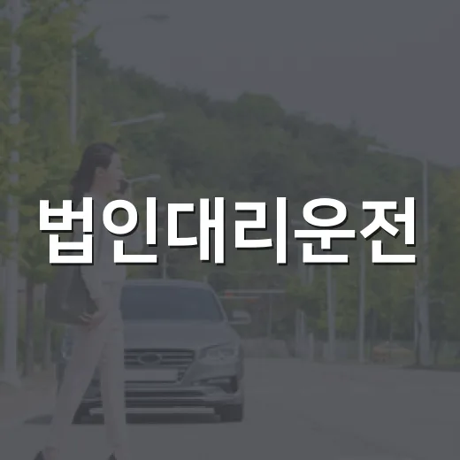 법인대리운전, 이렇게 하면 스트레스 없이 이용 가능! - 요약