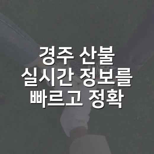 경주 산불 실시간 정보를 빠르고 정확하게 얻는 방법 - 요약