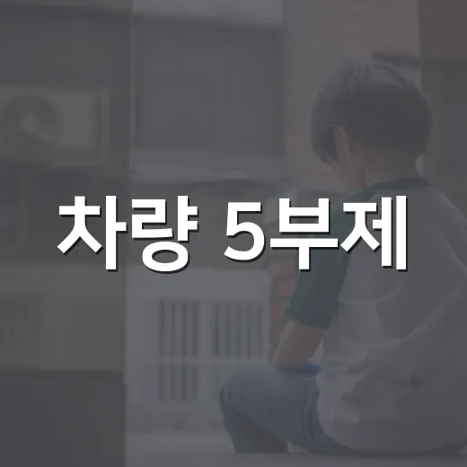 차량 5부제, 똑똑하게 활용하는 방법 - 요약