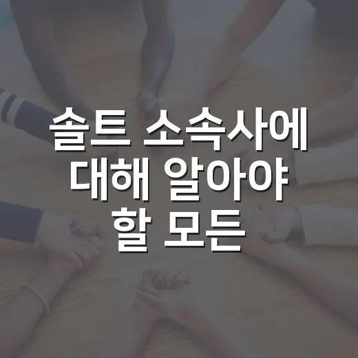 솔트 소속사에 대해 알아야 할 모든 것 - 요약