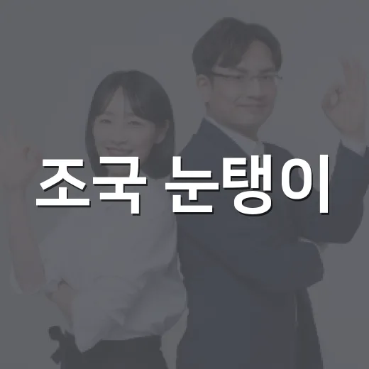 조국 눈탱이, 그 진실을 파헤쳐보자 - 요약