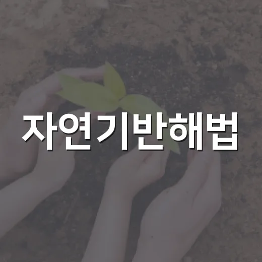 자연기반해법, 지속 가능한 미래를 위한 첫 걸음 - 요약