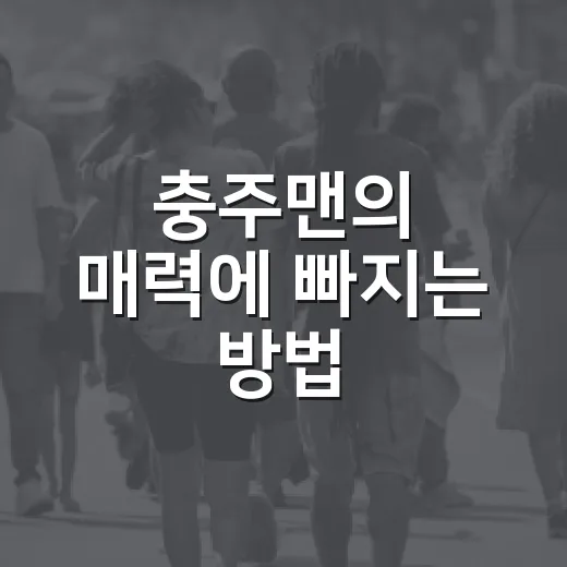 충주맨의 매력에 빠지는 방법 - 요약