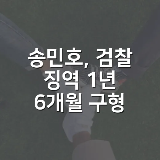 송민호, 검찰 징역 1년 6개월 구형 사건의 모든 것 - 요약