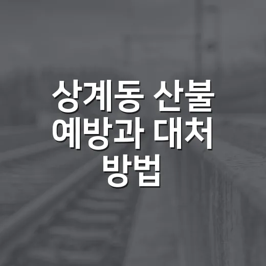 상계동 산불 예방과 대처 방법, 이렇게 해보세요! - 요약