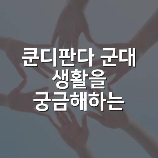쿤디판다 군대 생활을 궁금해하는 이들을 위한 가이드 - 요약