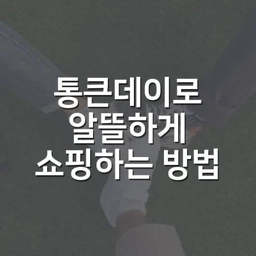 통큰데이로 알뜰하게 쇼핑하는 방법 - 요약
