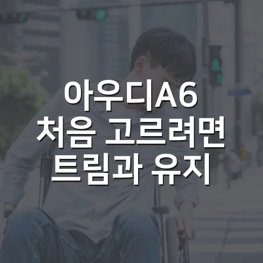 아우디A6 처음 고르려면 트림과 유지비를 이렇게 보시면 됩니다 - 요약