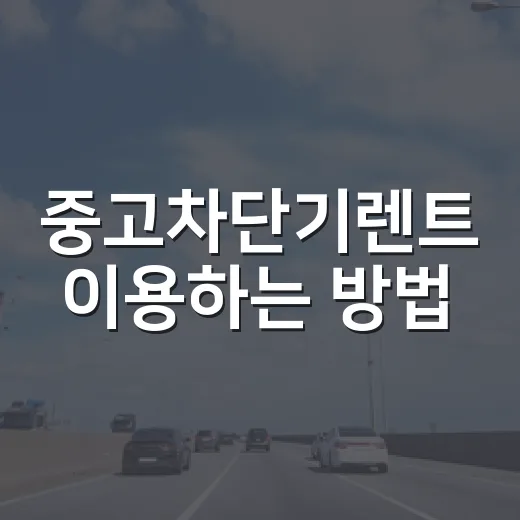 중고차단기렌트 이용하는 방법, 처음이면 기간과 보험부터 이렇게 보세요 - 요약