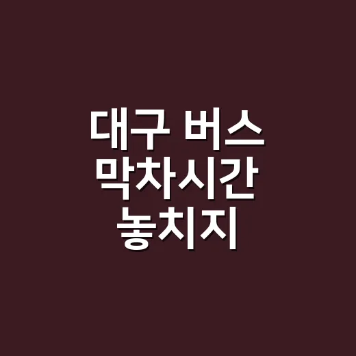 대구 버스 막차시간 놓치지 않으려면 이렇게 확인하면 됩니다 - 요약
