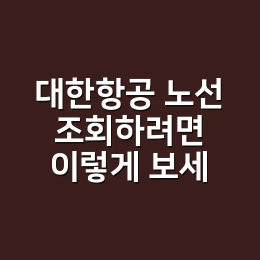 대한항공 노선 조회하려면 이렇게 보세요 - 요약