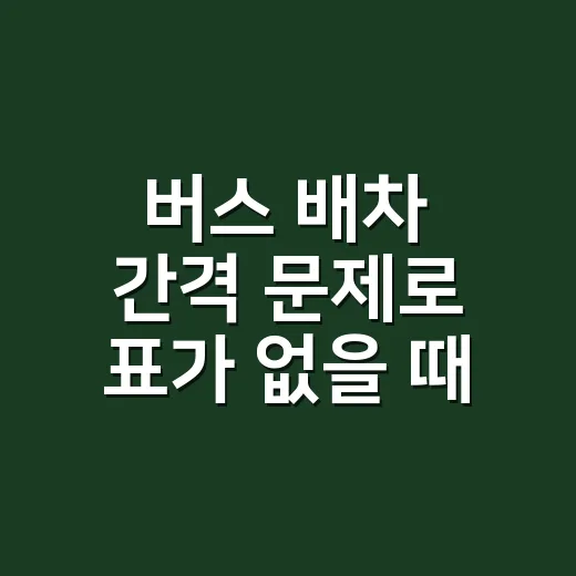 버스 배차 간격 문제로 표가 없을 때 대안 노선 찾는 방법 - 요약