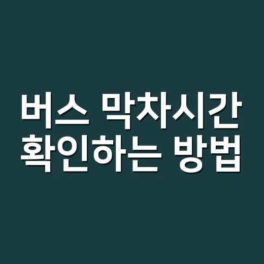 버스 막차시간 확인하는 방법, 표가 없을 때 대안 노선까지 보는 법 - 요약