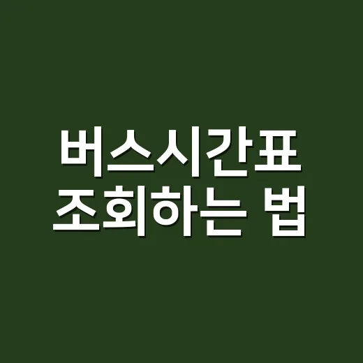 버스시간표 조회하는 법, 표 없을 때 대안 시간까지 찾는 방법 - 요약