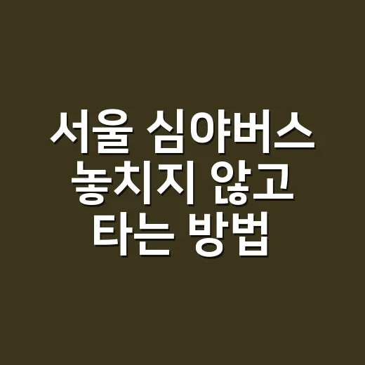 서울 심야버스 놓치지 않고 타는 방법, N버스 노선부터 환승까지 - 요약