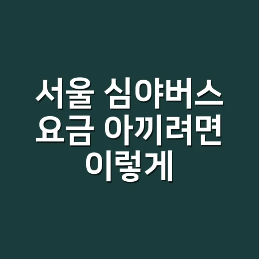 서울 심야버스 요금 아끼려면 이렇게 타면 됩니다 - 요약