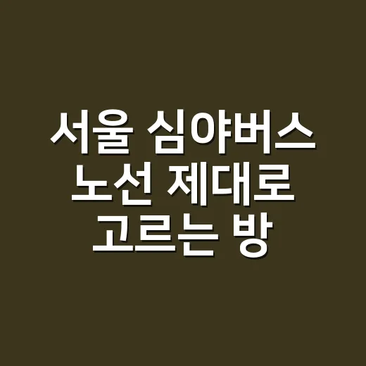 서울 심야버스 노선 제대로 고르는 방법, 막차 놓쳤을 때 이렇게 보세요 - 요약