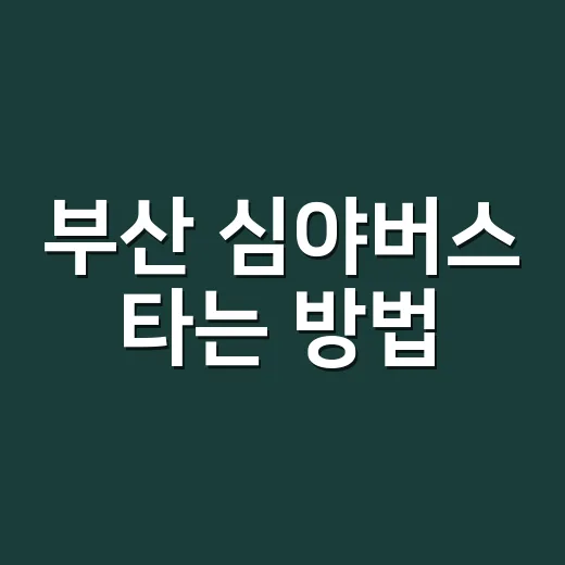 부산 심야버스 타는 방법, 막차 놓쳤을 때 노선부터 확인하는 순서 - 요약