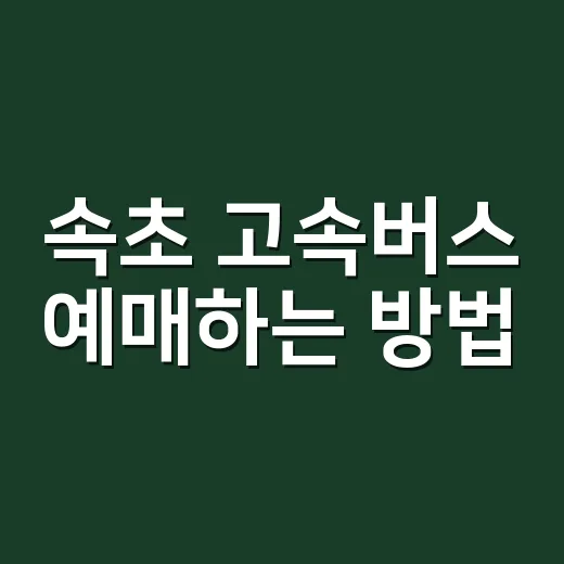 속초 고속버스 예매하는 방법, 표 없을 때 시간대 바꾸는 요령