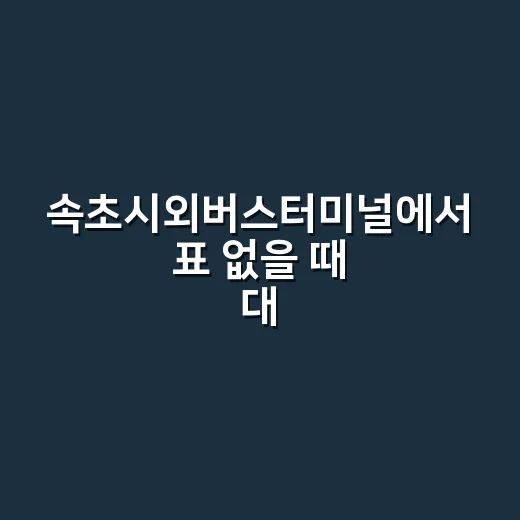 속초시외버스터미널에서 표 없을 때 대안 노선 찾는 방법