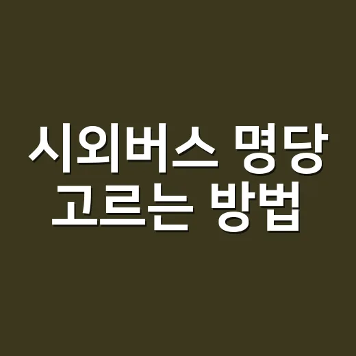 시외버스 명당 고르…